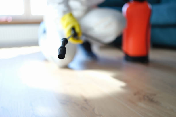 Mold Remediation for Rental Properties